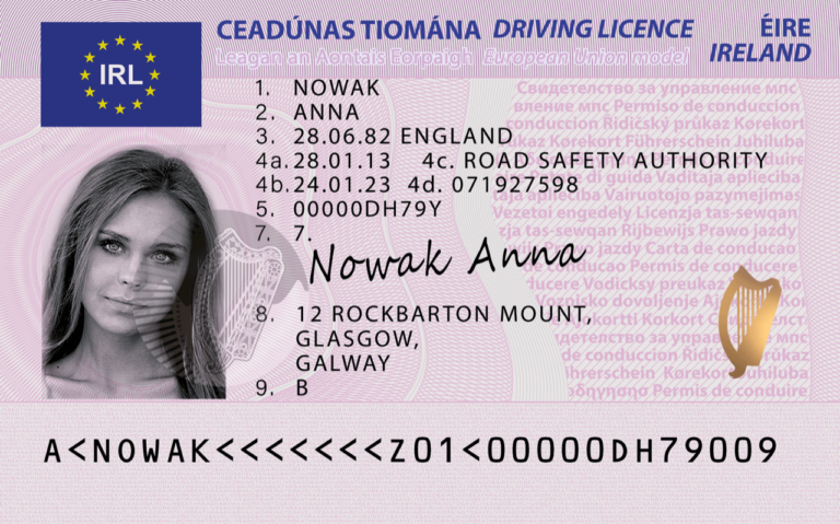 UK DRIVING LICENCE ONLINE